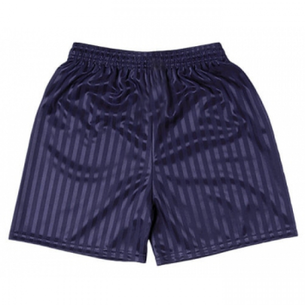PE Shorts - Summer (Navy/Shadow stripe)